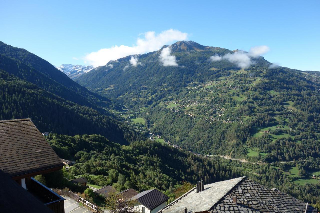 Balcons Du Soleil Sunny & Mountain Apartments By Alpvision Residences 维松纳 外观 照片
